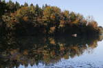 Herbststimmung am  Langbrgener See  bei Rimsting am 11.