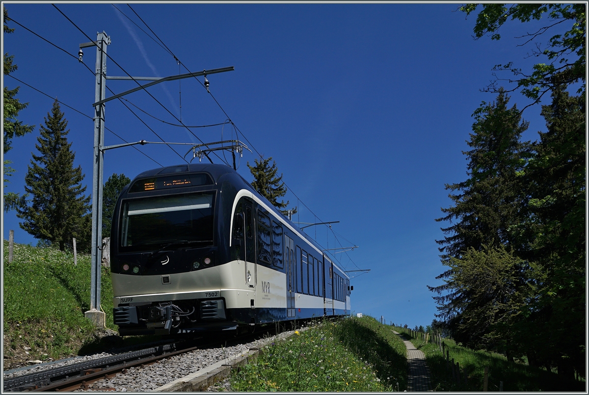 Der MVR SURF GTW ABeh 2/6 7502  Blonay  zwischen Lally und Les Pléiades .
10. Juni 2016