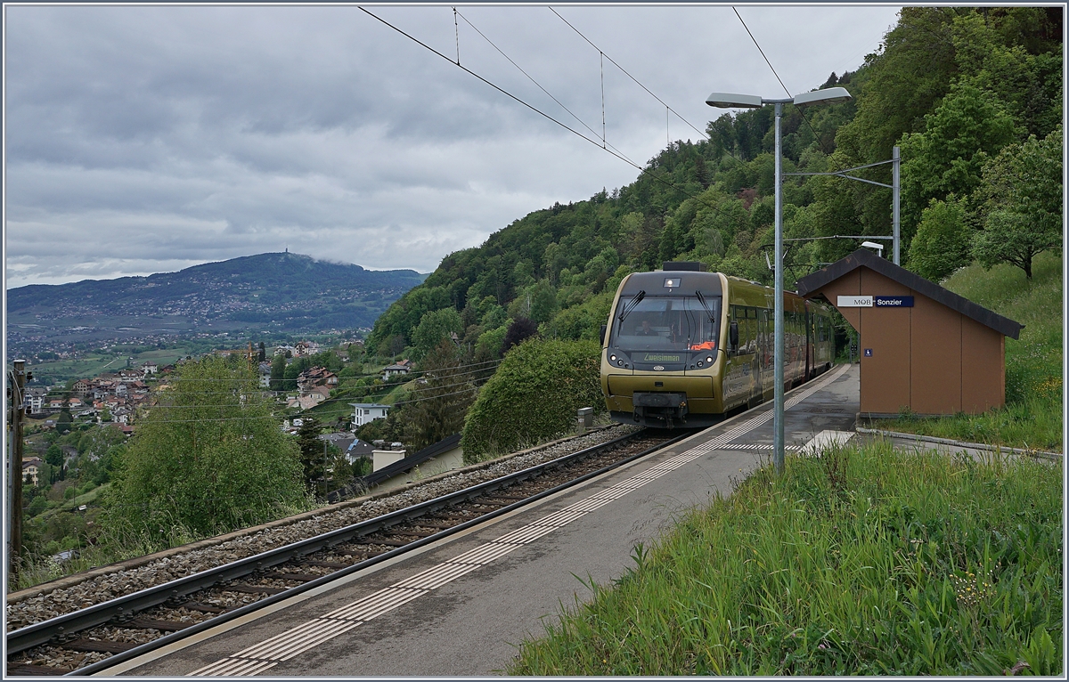 Die MOB ABt - Be 4/4 - Bt sind in der Regel in der Lenk unterwegs und tragen folgerichtig den Namen  Lenkerpendel ; zur Zeit sind sie aber vermehrt auch an er Riviera Vaudoise zu sehe, wie z.B hier bei Sonzier. 

2. Mai 2020