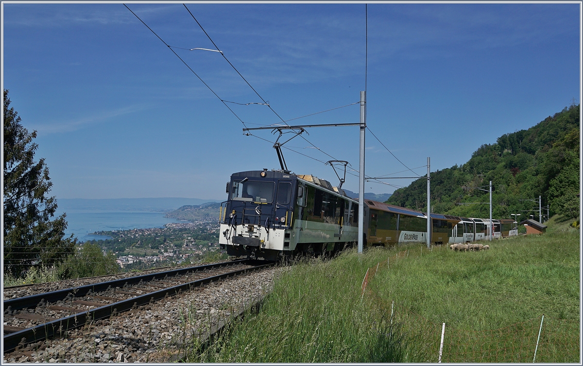 Die MOB GDe 4/4 6005 ist mit ihrem PE 2122 auf dem Weg nach Zweisimmen bei Sonzier unterwegs. 

9. Mai 2020