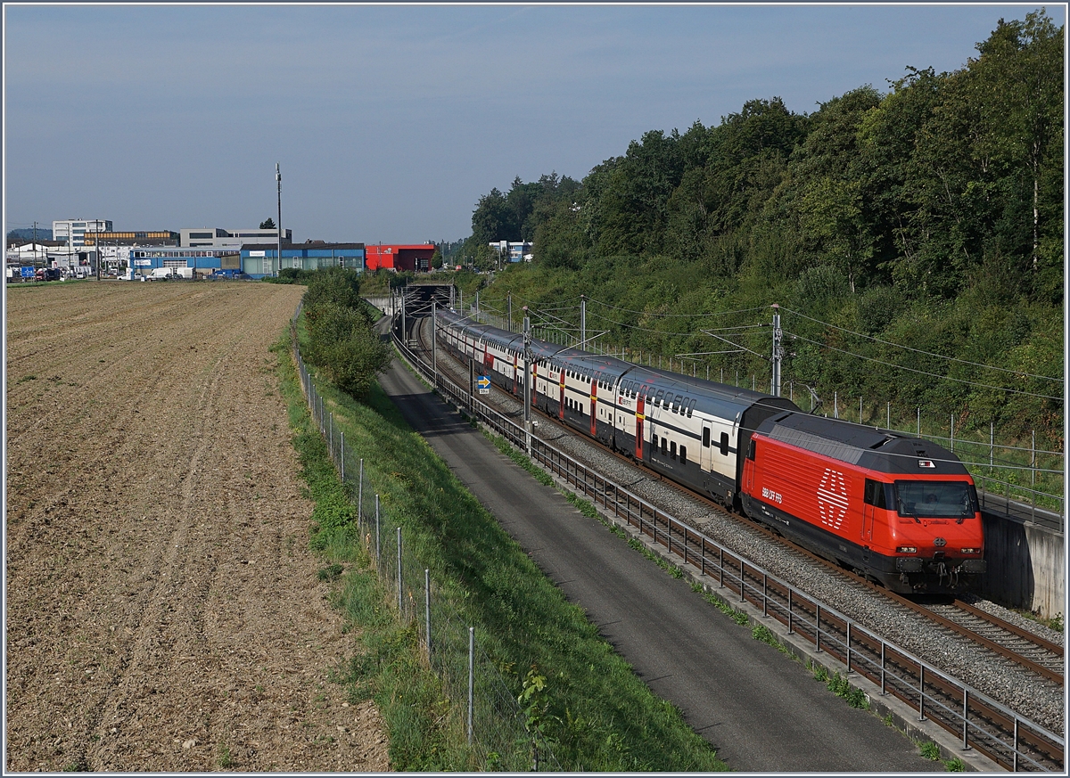 Die NBS (Schnellfahrtstrecke Mattstetten - Rothrist)  bei Langental mit von Re 460 geführen schnell durchfahrenden Zügen. 

10. Aug. 2020