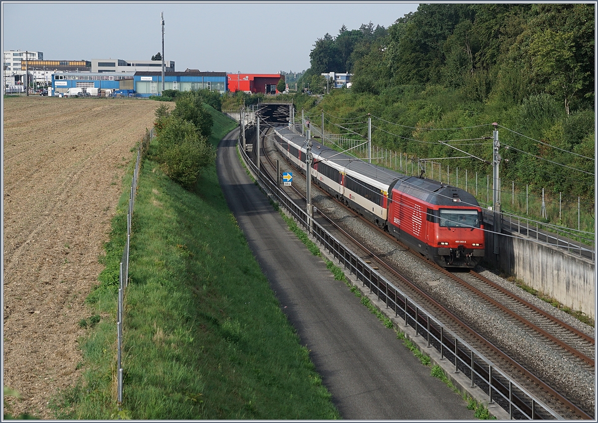 Die NBS (Schnellfahrtstrecke Mattstetten - Rothrist)  bei Langental mit von Re 460 geführen schnell durchfahrenden Zügen. 

10. Aug. 2020