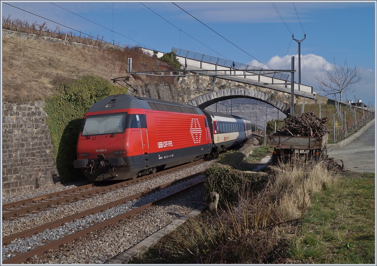 Die SBB Re 460 037-5 schiebt bei Cully einen IR Richtung Brig.
20. Feb. 2018