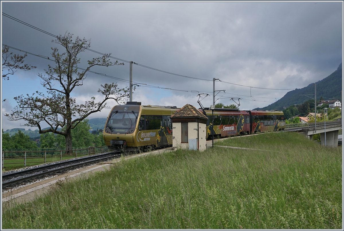 Ein  Lenkerpendel  auf dem Weg nach Zweisimmen bei Châtelard. 

6. Mai 2020