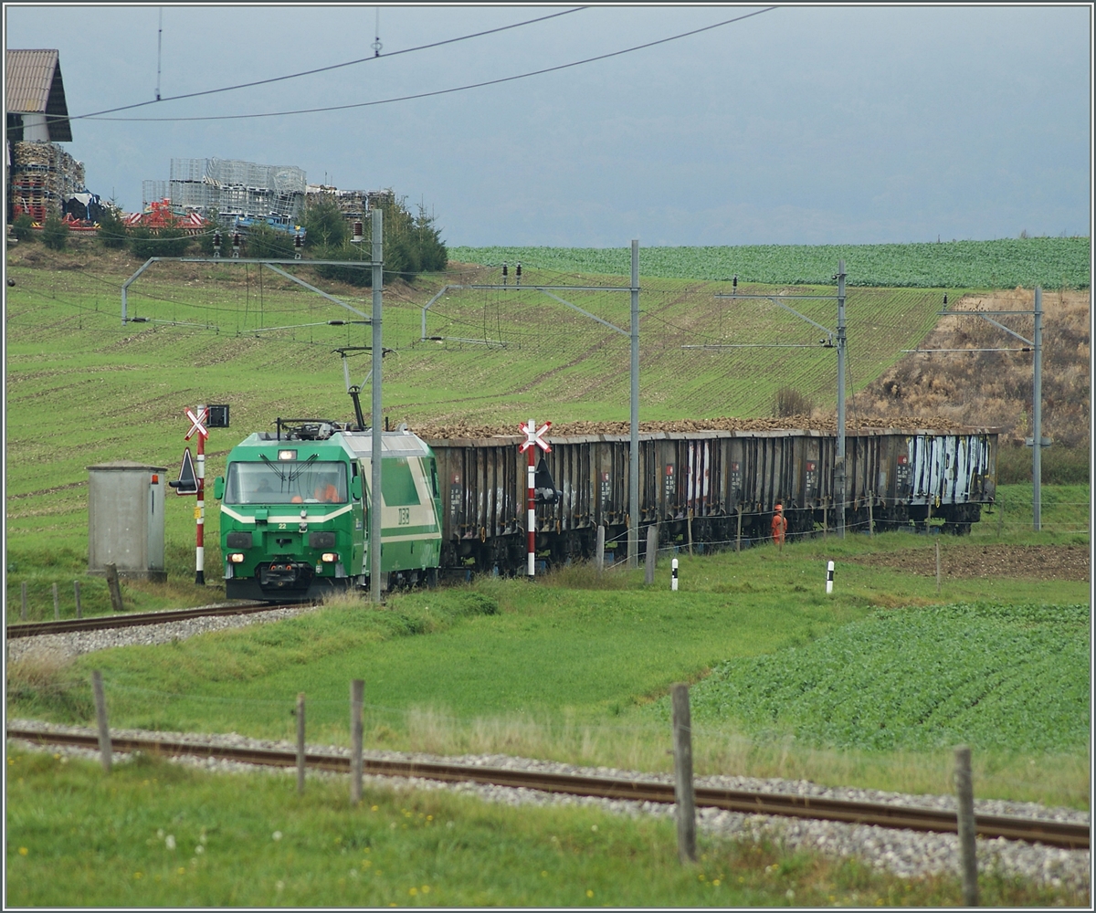 Ein Zuckerrübenzug der BAM bei Mauraz. 
15. Okt 2014