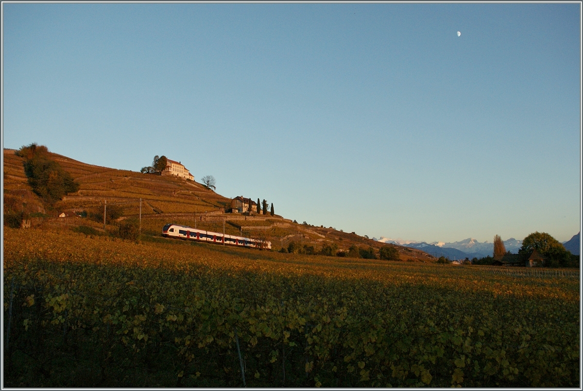 Kurz bevor die Sonne verschwand zeigt sich dieser nach Lausanne fahrende Flirt in den Weinreben bei Lutry.

11 Nov. 2013