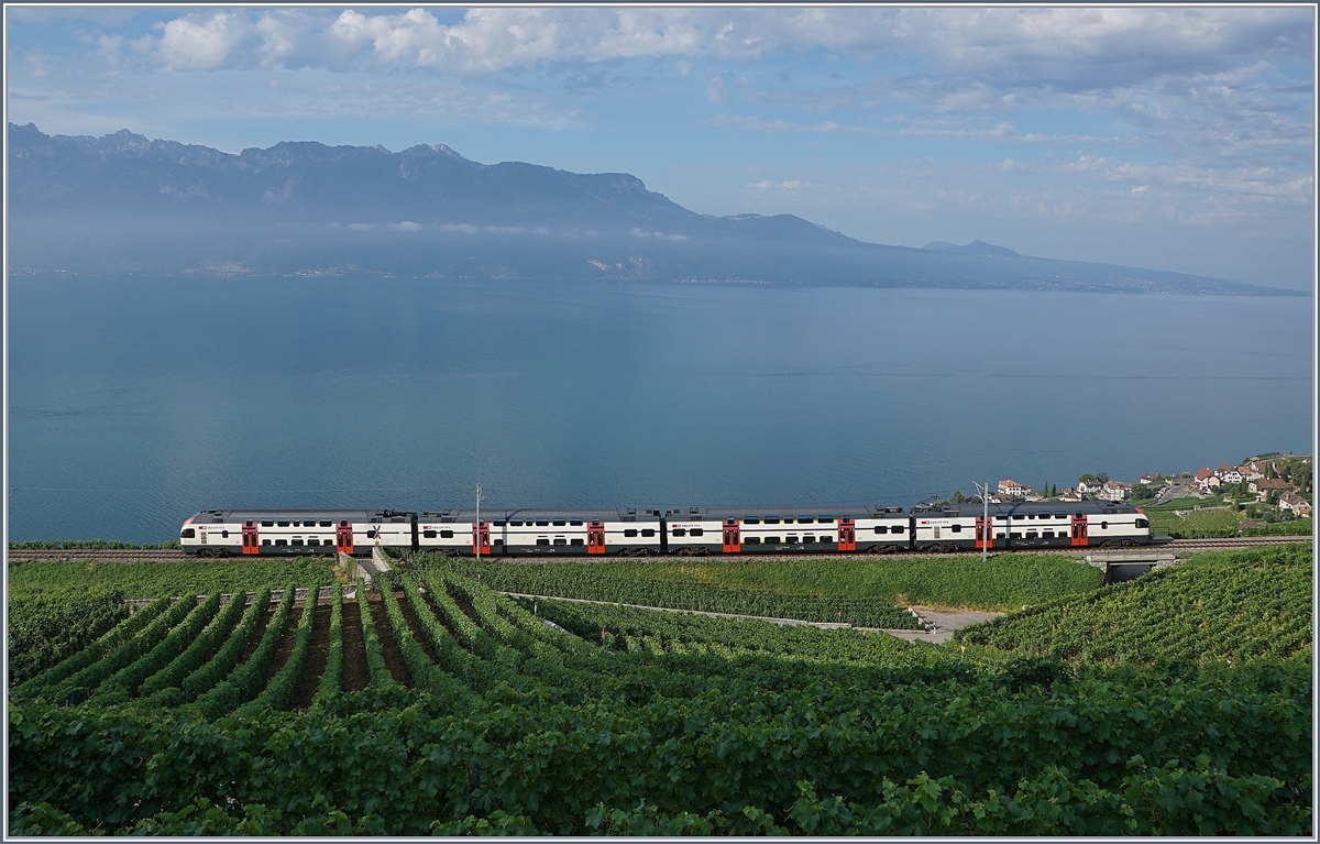 SBB RABe 511 (KISS) anstelle der sonst hier eingesetzten Domino oder FLIRT-Züge infolge des Fête des Vignerons auf der Train des Vignes Strecke bei Chexbres.

26. Juli 2019