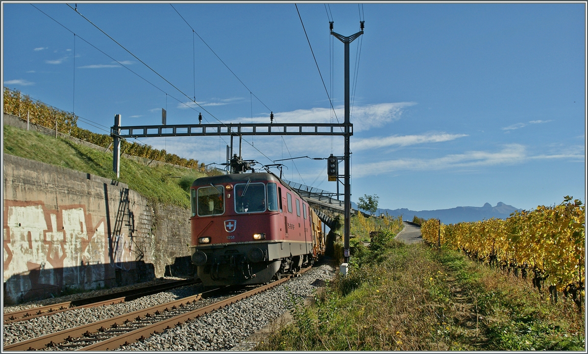 SBB Re 4/4 II 11258 bei Cully.
28. Okt. 2013