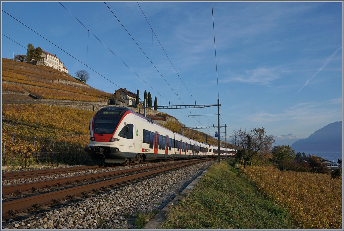 Zwei SBB Flirts auf der Fahrt Richtung Villeneuve kurz nach Lutry.
3. Nov. 2017