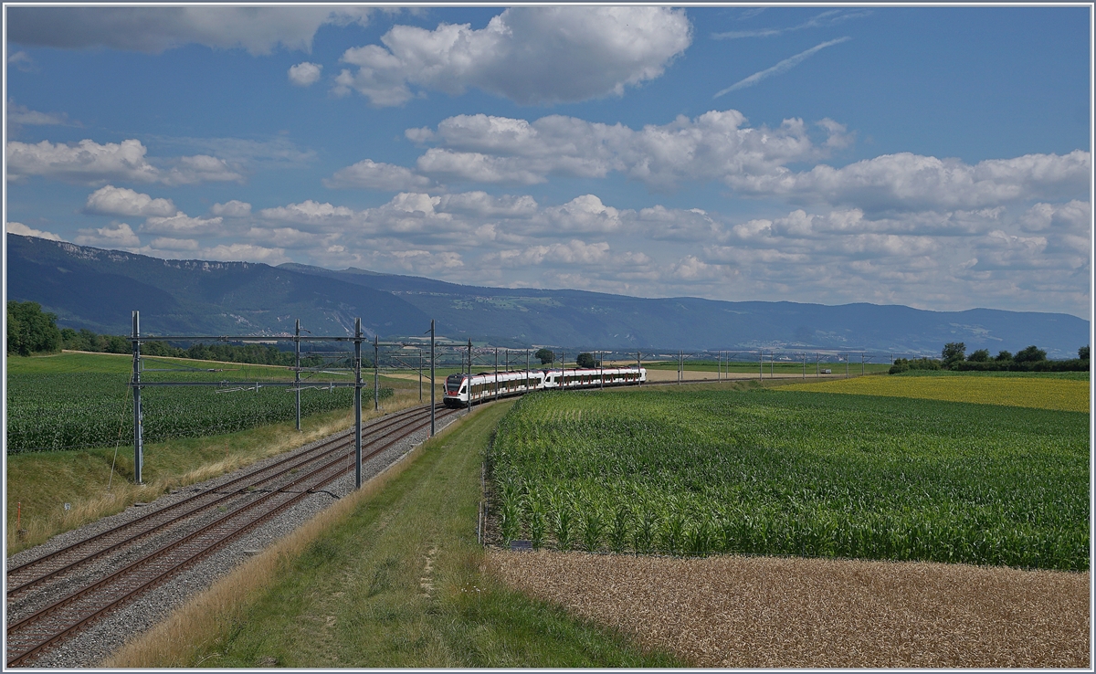 Zwei SBB RABe 523 Flirt Triebzüge verlassen die 180 Grad Kurve und nehmen den Anstieg nach Vallorbe in Angriff.

14. Juli 2020