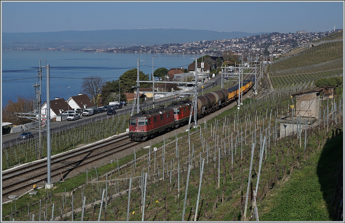 Zwei SBB Re 4/4 II erreichen mit einem Güterzug Cully. 

1. April 2021