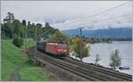 Die DB 185 091-6 ist mit dem Novellis Aluminium Zug auf der Fahrt von Sierre nach Göttingen und fährt dabei kurz nach Villeneuve dem Genfer See entlang.