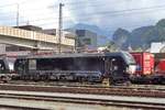 TX Log 193 651 steht am 18 Mai 2018 in Kufstein.