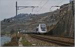 Der letzte TGV von Paris Gare de Lyon nach Brig hier bei St-Saphorin am 4.