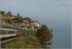 Eine Re 4/4 II mit EW I auf der Fahrt Richtung Vevey bei St-Saphorin.