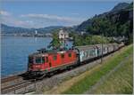 Im letzten Moment ausgelöst, noch bevor die Re 4/4 II 11286 (Re 420 286-7) vom Geländer der kleinen Brücke verdeckt wird.