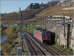 Die beiden SBB Re 4/4 II 11342 (Re 420 342-8) und Re 4/4 II 11335 sind zwischen Rivaz und St-Saphorin auf dem Weg in Richtung Villeneuve. 

15. Nov. 2024