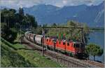 In der Regel verkehrt der  Spaghetti Zug mit einer Re 6/6, doch an diesem Tag waren zwei SBB Re 4/4 II bespannt.
Das Bild entstand kurz nach Villeneuve.

10. Okt. 205