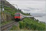 Eine SBB Re 460 mit einem Umleitungszug auf der  Train des Vigens (Rebberg) Strecke kurz vor Chexbres.