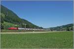 Ein SBB Re 460 sit im Kandertal mit einem IC auf dem Weg in Richtung Spiez.