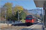 Eine SBB Re 460 fährt mit einem IR90 durch dass Spätherbstliche Burier.