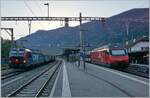 Noch vor Sonnenaufgang zeigen sich in Martingy der Re 460 mit einem IR nach Brig und die von SBB Cargo gemietet 193 059 mit einem Güterzug . 

9. April 2026
