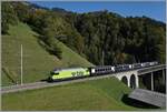 Die BLS Re 465 014 ist mit dem GoldenPass Express 4065 auf der Fahrt von Interlaken nach Zweisimmen, wo der Zug dann umgespurt nach Montreux weiter fahren wird.