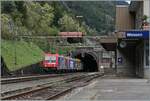 Die 484 014 und eine weitere fahren mit ihrem Güterzug durch den Bahnhof von Wassen. 

19. Okt. 2023