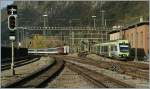 Ein  L�tschberger  von Bern f�hrt in Brig ein.