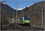 Zwei BLS Re 485 mit einer RoLa bei Varzo.