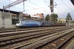 BLS Lokzug mit 465 016 steht am 1 Jänner 2019 in Spiez abgestellt.