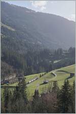 Ein BLS RABe 535  Lötschberger  ist kurz nach Garstatt auf dem Weg nach Zweisimmen.