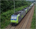 Gleich  drei BLS Re 485 ziehen ihre RoLa Freibung - Novara bei Varzo südwärts.