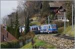 Die MOB Ge 4/4 8001 ist mit ihrem Golden Pass Express GPX 4074 bei Chernex auf dem Weg von Montreux nach Interlaken Ost.