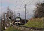 Unter eine  Windschiefen Fahrleitung  (offizielle Namensgebung dieser nur am oberen Tragseil befestigten Fahrleitung) und einem recht schiefen Vorsignal von Chernex ist der CEV MVR ABeh 2/6 7501