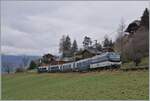 Kurz vor Les Avants ist die MOB Ge 4/4 8004 mit dem MOB/BLS GoldenPass Express GPX 4074 von Montreux nach Interlaken Ost unterwegs.