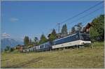 Die MOB Ge 4/4 8002 ist mit ihrem GPX bei Les Avants auf dem Weg in Richtung Interlaken Ost, wobei ab Zweisimmen eine BLS Re 465 den Umspurzug übernehmen wird.