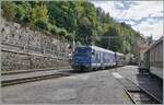Die MOB Ge 4/4 8001 ist mit ihrem GoldenPass Express bei Chamby auf dem Weg nach Interlaken Ost.