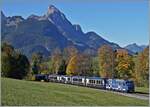 Zwischen Schönried und Gruben konnte ich den MOB/BLS GoldenPass Express PE 4068 auf der Fahrt von Interlaken Ost nach Montreux kurz nach Schönried fotografieren.