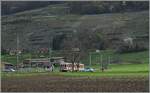 Der BDe 4/4 102 mit seinen Bt 134 an der Spitze halten in Villy.
