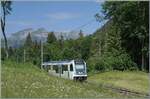 Kurz nach der kleinen Haltestelle Plan Morier ist der TPC ASD ABe 4/8 473 als R71 435 auf dem Weg von Les Diablerets nach Aigle. 

1. Juni 2026