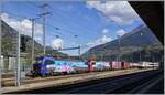 SBB Vectrom warten in Brig mit einem Güterzug auf die Weiterfahrt in Richtung Norden.