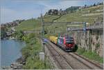 Nach Problemen mit dem ETCS und der Umdisponierung der SBB Cargo Vectroms von Nicht-ETCS-Strecken sind die SBB Cargo Vectroms vereinzelt wieder auf der Simplonlinie zu sehen, wobei sich die 193 077 in