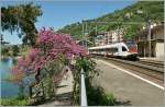 Endlich Fr�hling, wenn auch nur f�r einen Tag: Ein Flirt nach Villenuve bei  Veytaux de Chillon.