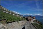 Zwei SBB RABe 511 bilden einen langen Umleitungszug Via die  Tain de Vignes  Strecke im Lauvaux.