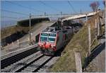 Ein SBB RBDe 560 Domino kurz vor Grandvaux auf der Fahrt nach Palézieux.