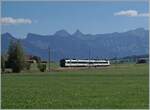 Zwischen Sâles und Vaulruz ist ein TPF RBDe 560 Domino auf dem Weg nach Broc Fabrique.