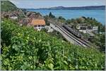 Blick auf den Bahnhof von Twann, mit einem  Domino  auf der Fahrt nach Neuchâtel.